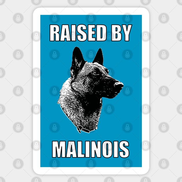 Raised by Malinois Magnet by childofthecorn